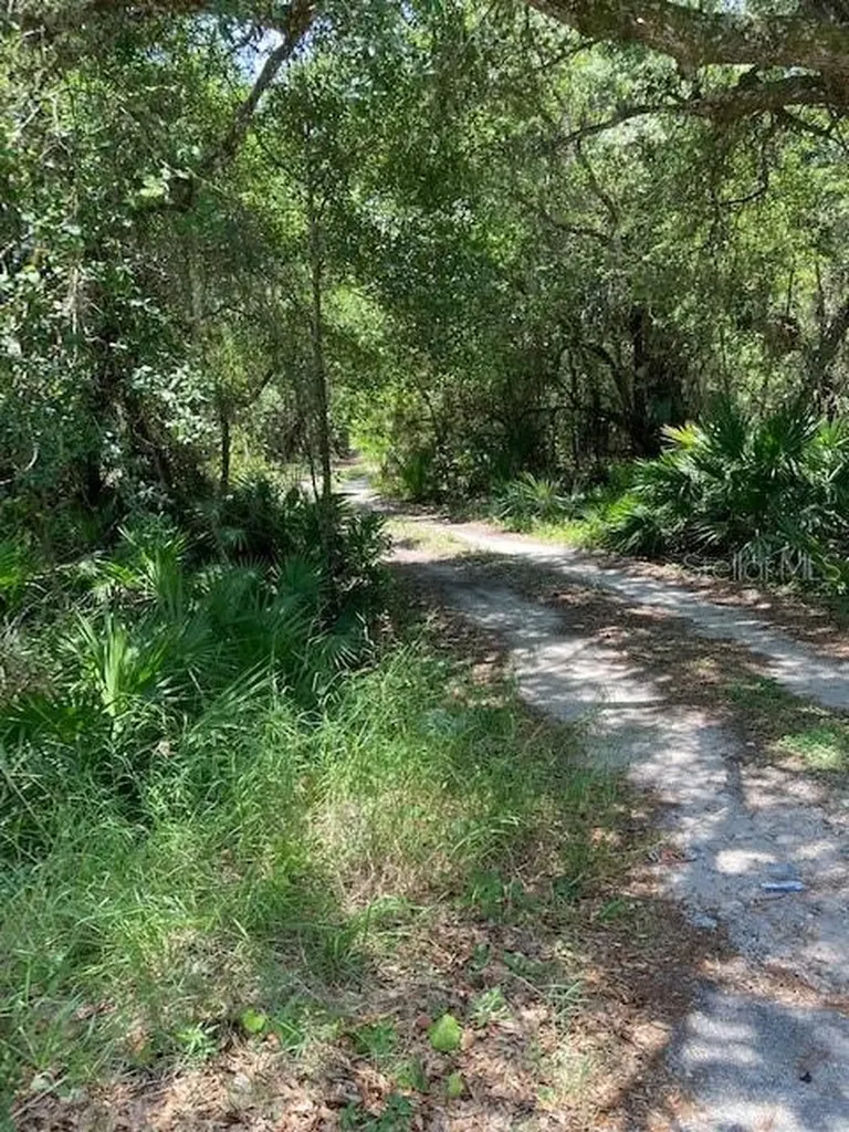 15820 Wilson Parrish Road Umatilla FL 32784