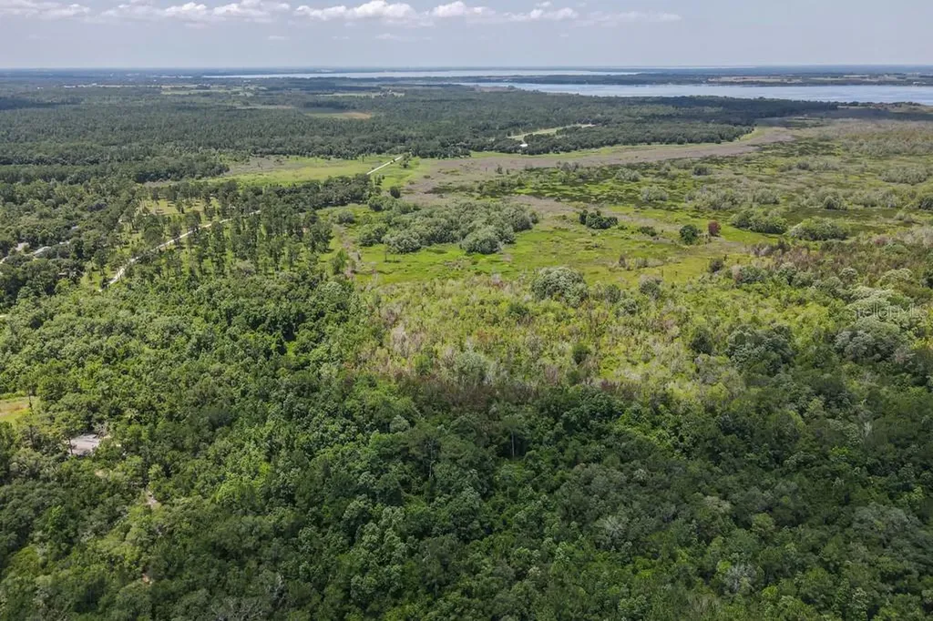 15820 Wilson Parrish Road Umatilla FL 32784