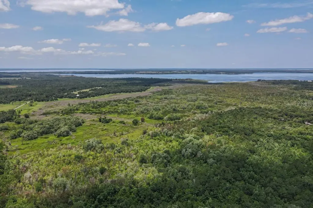 15820 Wilson Parrish Road Umatilla FL 32784