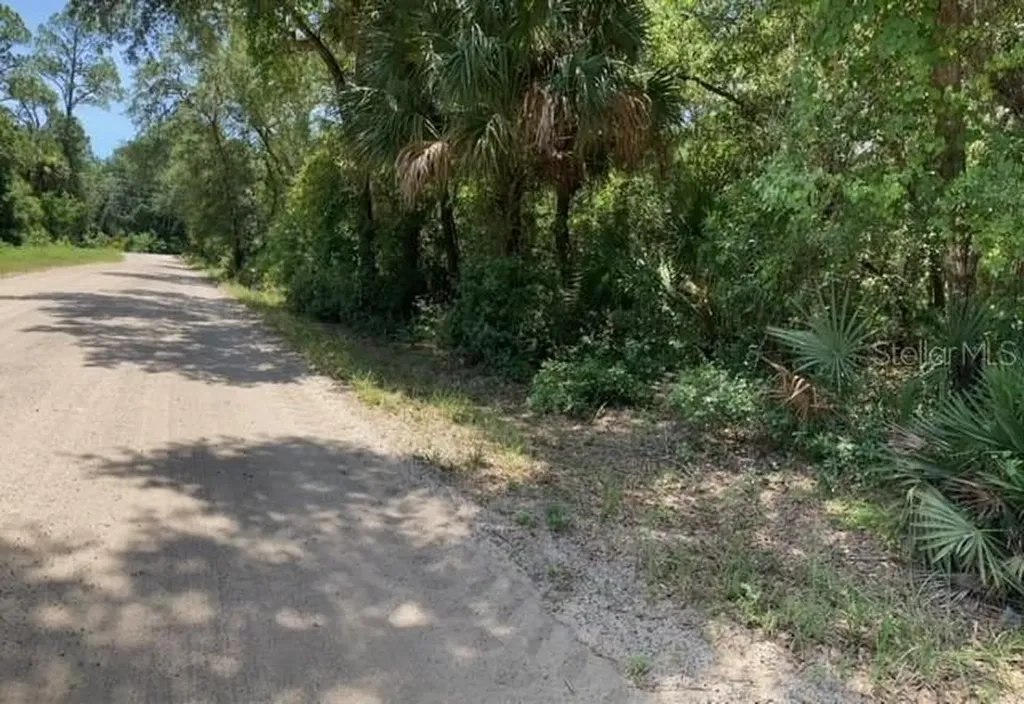 15820 Wilson Parrish Road Umatilla FL 32784