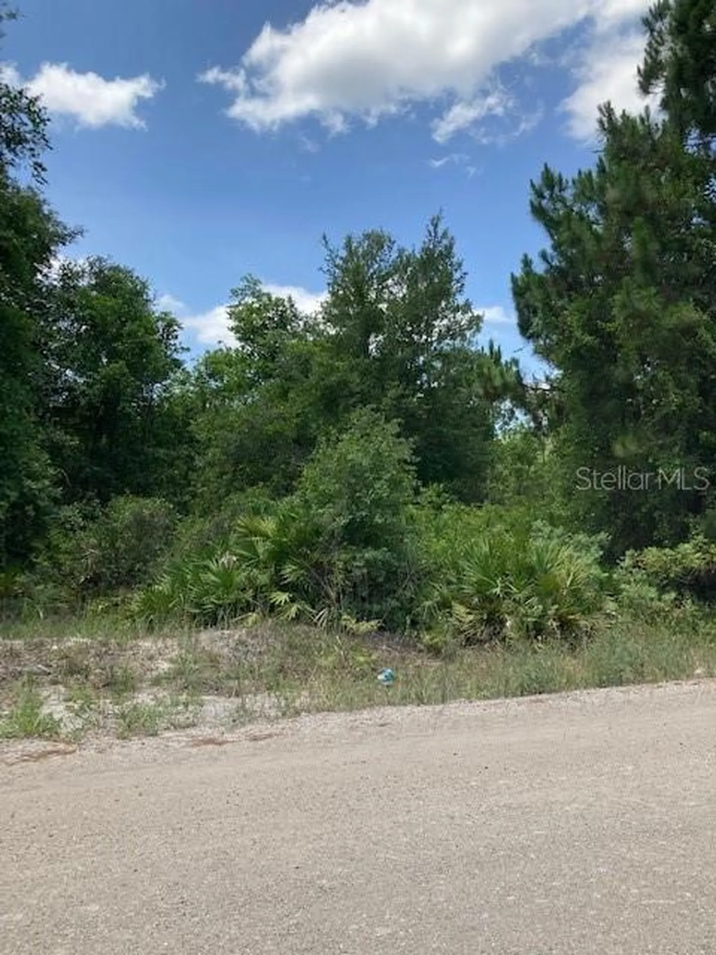 15820 Wilson Parrish Road Umatilla FL 32784