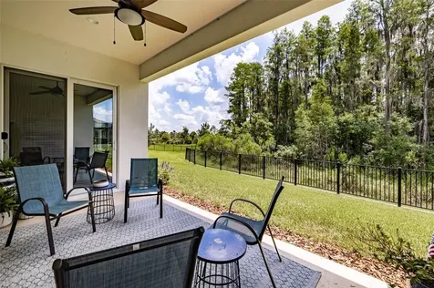 4486 Casella Drive Wesley Chapel FL 33543