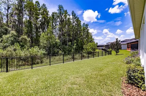 4486 Casella Drive Wesley Chapel FL 33543