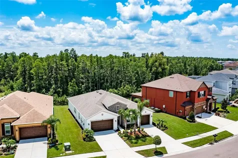 4486 Casella Drive Wesley Chapel FL 33543