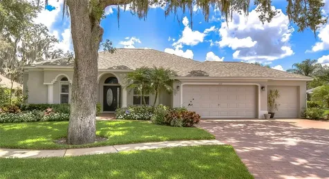 1137 Split Silk Street Valrico FL 33594
