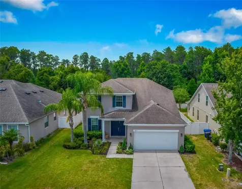 5377 Shasta Daisy Place Land O Lakes FL 34639