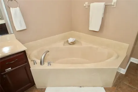 1008 Home Grove Drive Winter Garden FL 34787