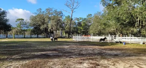 15081 Commonwealth Avenue N Polk City FL 33868