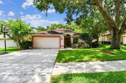 24308 Twin Lake Drive Land O Lakes FL 34639