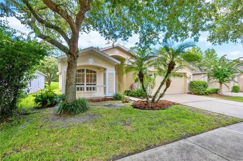 10165 Heather Sound Drive Tampa FL 33647