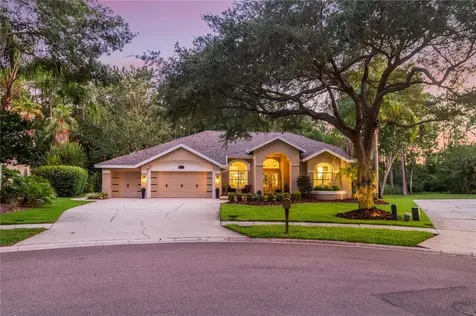 3918 Saywood Court Palm Harbor FL 34685