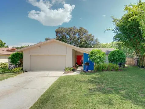 3127 Swan Lane Safety Harbor FL 34695