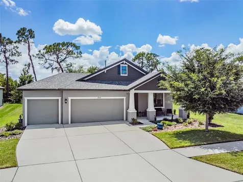 19828 Lonesome Pine Drive Land O Lakes FL 34638