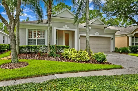 9313 Hunters Park Way Tampa FL 33647