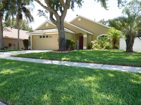 24202 Royal Fern Drive Lutz FL 33559