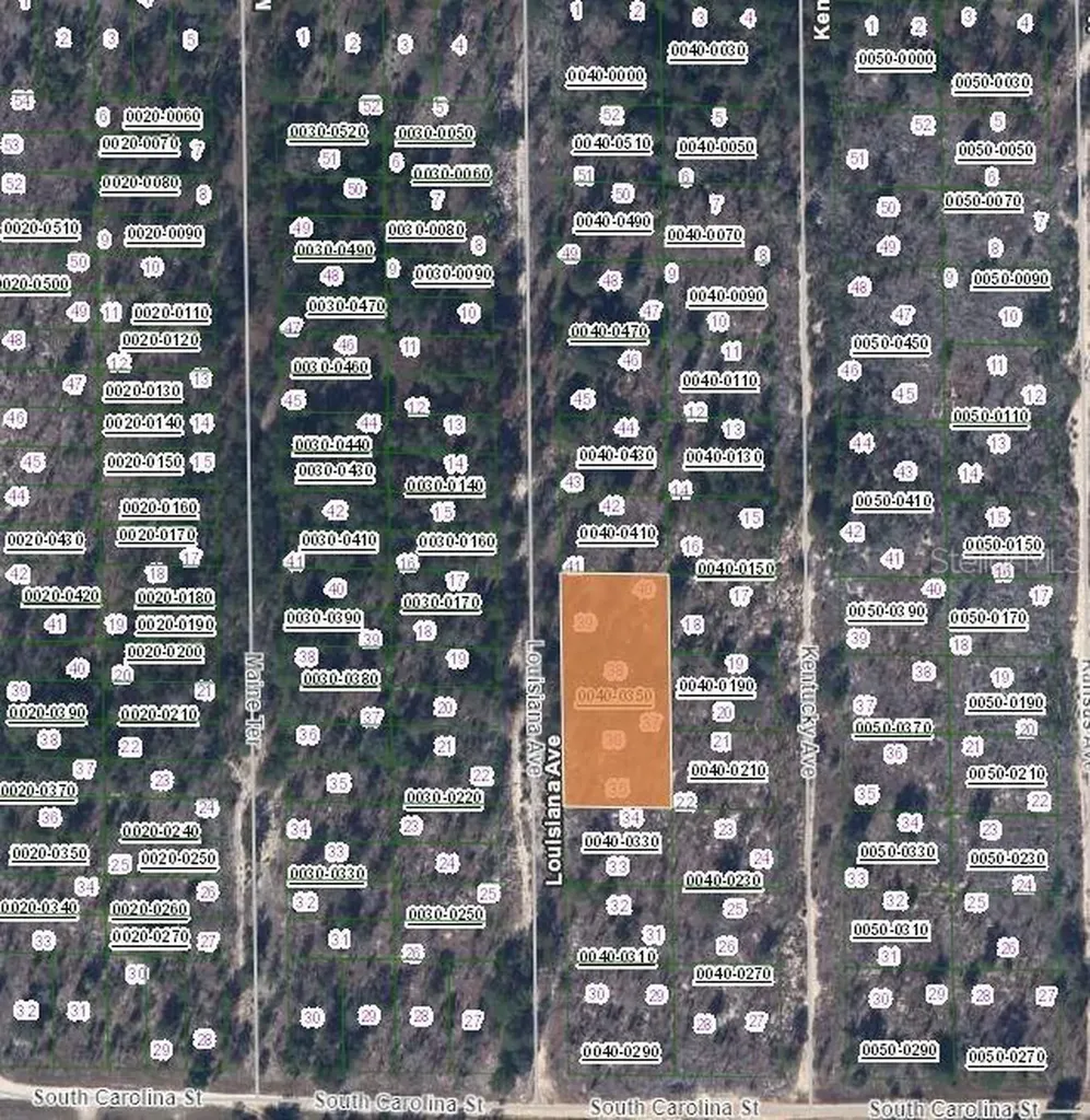 00 Louissiana Avenue Hawthorne FL 32640