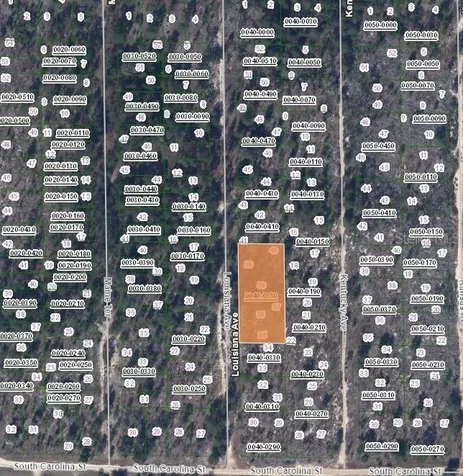00 Louissiana Avenue Hawthorne FL 32640