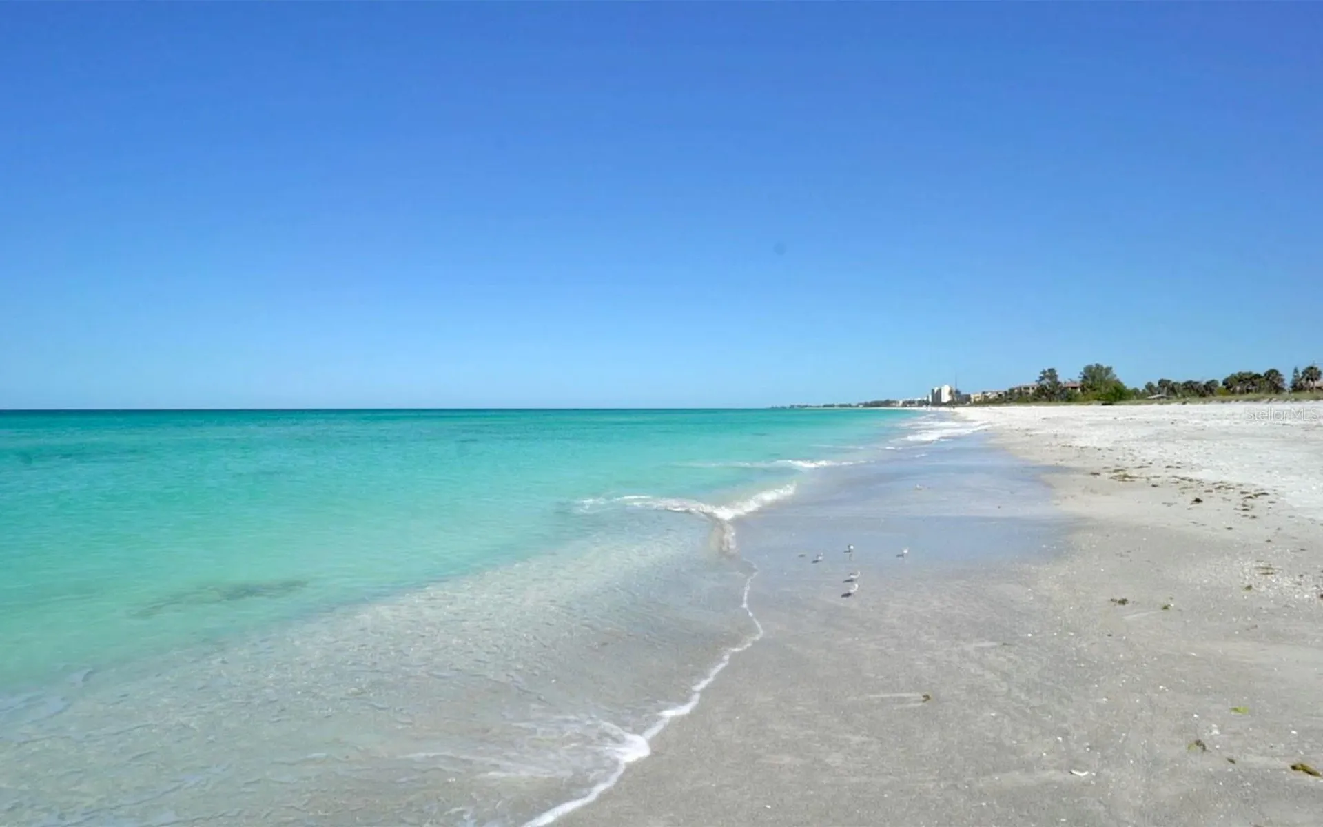 750 Bayport Way Longboat Key FL 34228