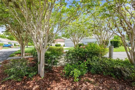 7045 Buttonbush Loop Harmony FL 34773