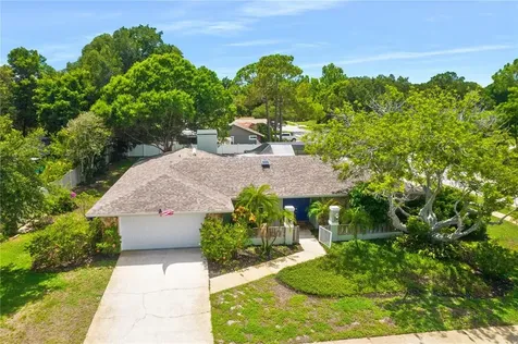 2982 Enisgrove Drive Palm Harbor FL 34683