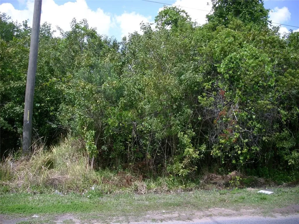 66 Andora Court Kissimmee FL 34758