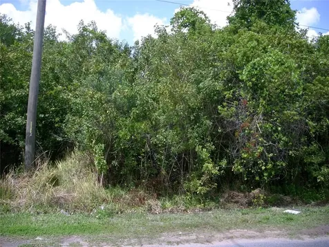 66 Andora Court Kissimmee FL 34758
