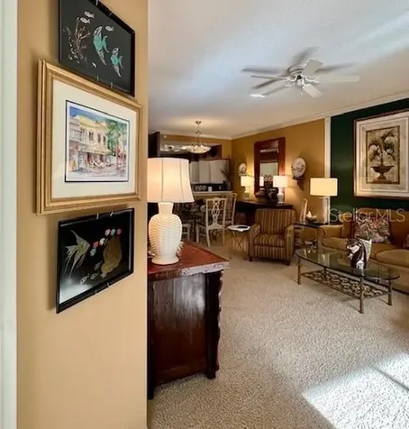 9611 Castle Point Drive Sarasota FL 34238