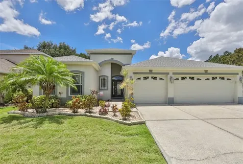 1403 Emerald Hill Way Valrico FL 33594