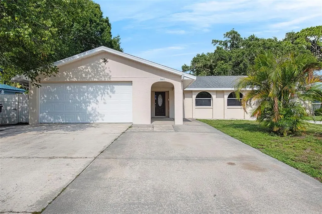 7007 Hazelwood Court Tampa FL 33615