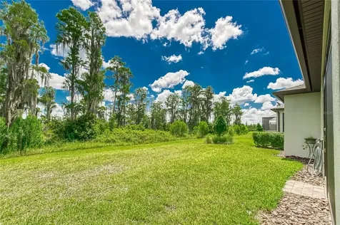 19640 Coastal Shore Terrace Land O Lakes FL 34638