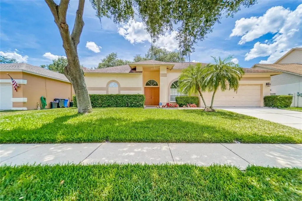 1331 Monte Lake Drive Valrico FL 33596