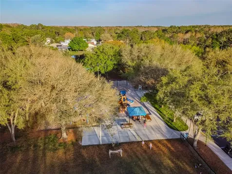 5477 Lockport Court Palm Harbor FL 34685