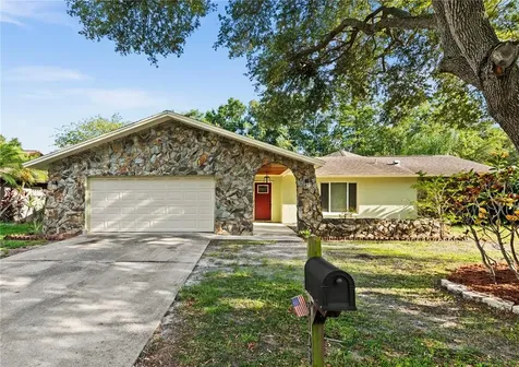 3133 Swan Lane Safety Harbor FL 34695