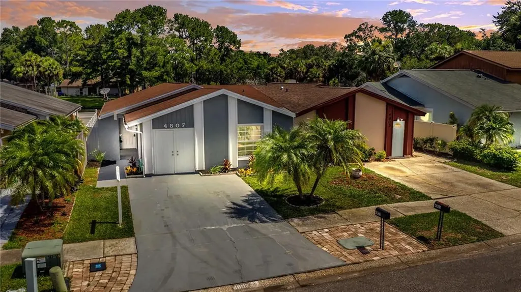 4807 Glenaire Court Tampa FL 33624