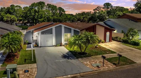 4807 Glenaire Court Tampa FL 33624