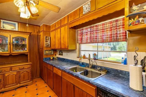 21849 Dupree Drive Land O Lakes FL 34639