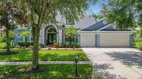 15905 Sorawater Drive Lithia FL 33547
