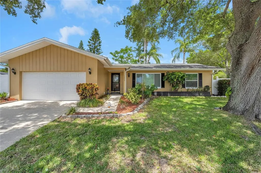1203 San Domingo Court Clearwater FL 33759