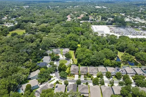3528 Brook Crossing Drive Brandon FL 33511