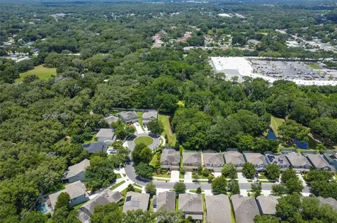 3528 Brook Crossing Drive Brandon FL 33511