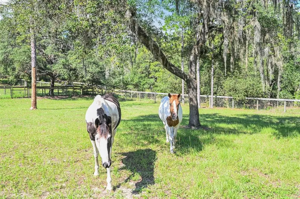 5930 W Knoxville Lane Dunnellon FL 34433