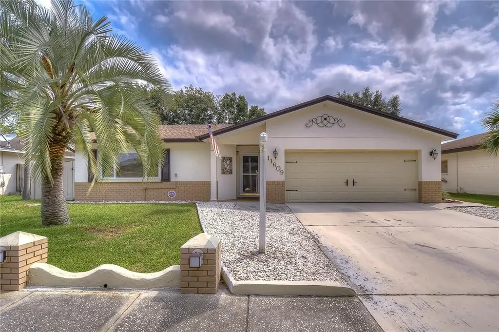 11609 Painted Hills Lane Tampa FL 33624