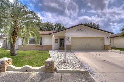 11609 Painted Hills Lane Tampa FL 33624
