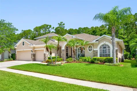 14721 Coral Berry Drive Tampa FL 33626