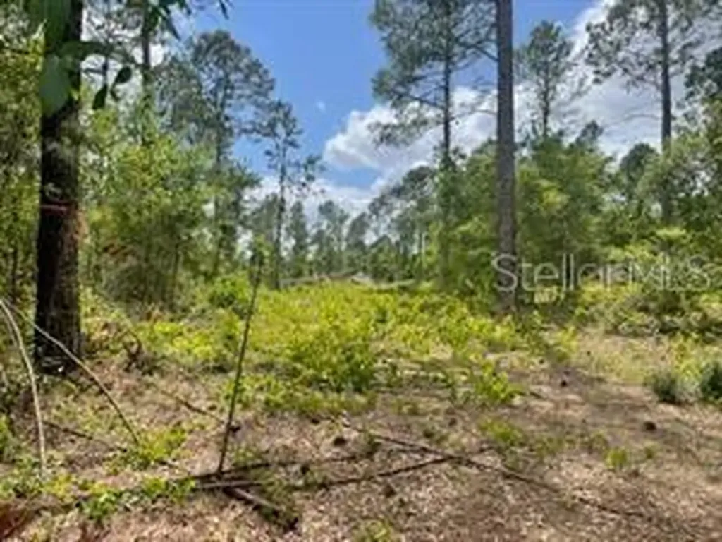 S Obrien Road Groveland FL 34736