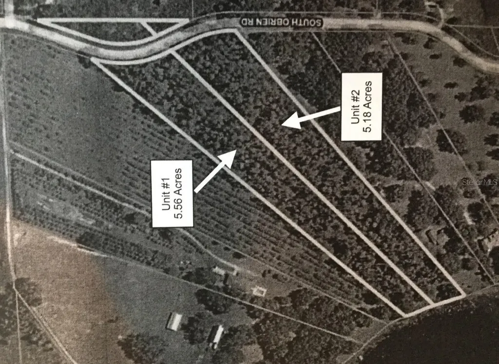 S Obrien Road Groveland FL 34736