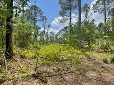 S Obrien Road Groveland FL 34736