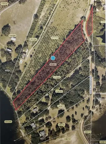 S Obrien Road Groveland FL 34736