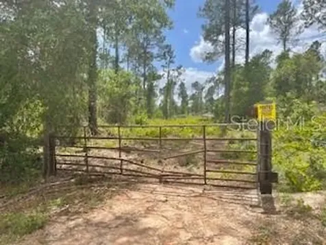 S Obrien Road Groveland FL 34736