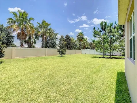 8133 Gray Kingbird Drive Winter Garden FL 34787